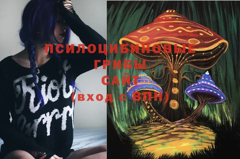 Псилоцибиновые грибы Psilocybe  закладки  Лесосибирск 